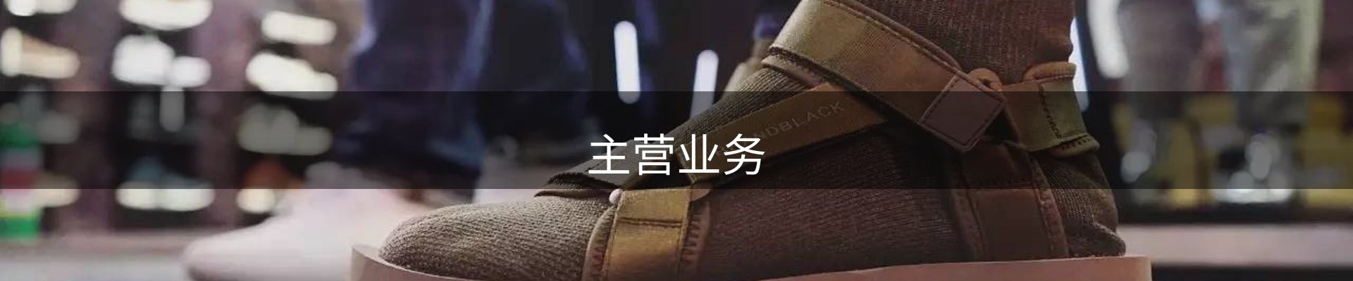 主营业务